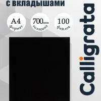 Папка с 100 вкладышами А4, 700 мкм, Calligrata, текстура &laquo;песок&raquo;, чёрная