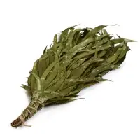 Веник для бани, эвкалиптовый, 53 (&plusmn;2) см, &laquo;Добропаровъ&raquo;