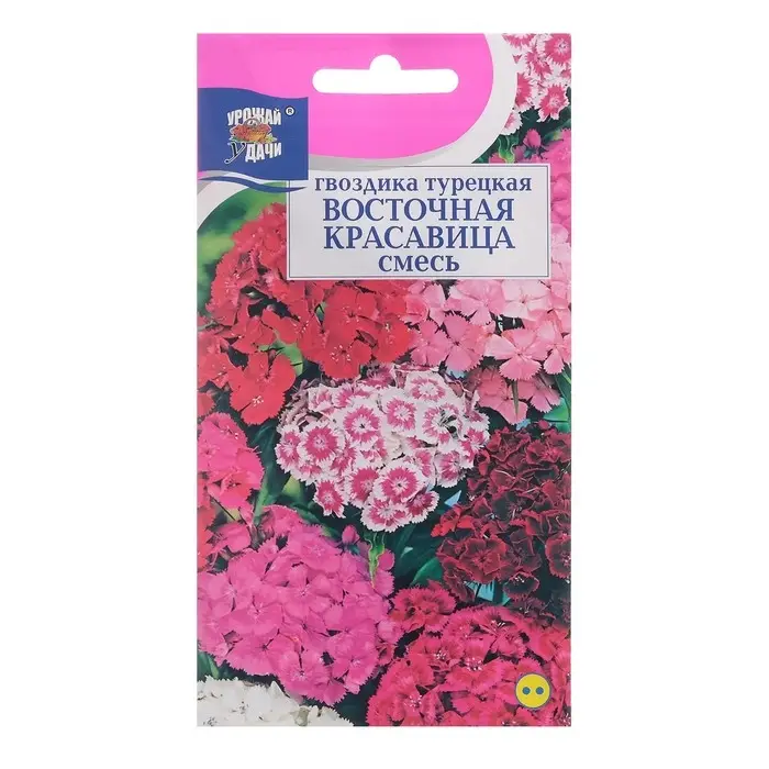 Семена цветов Гвоздика Турецкая Семена цветов Гвоздика Турецкая "ВОСТОЧНАЯ КРАСАВИЦА", смесь, 0,2 г