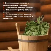 Веник для бани, дубовый, 55 см, с мятой, &laquo;Добропаровъ&raquo;