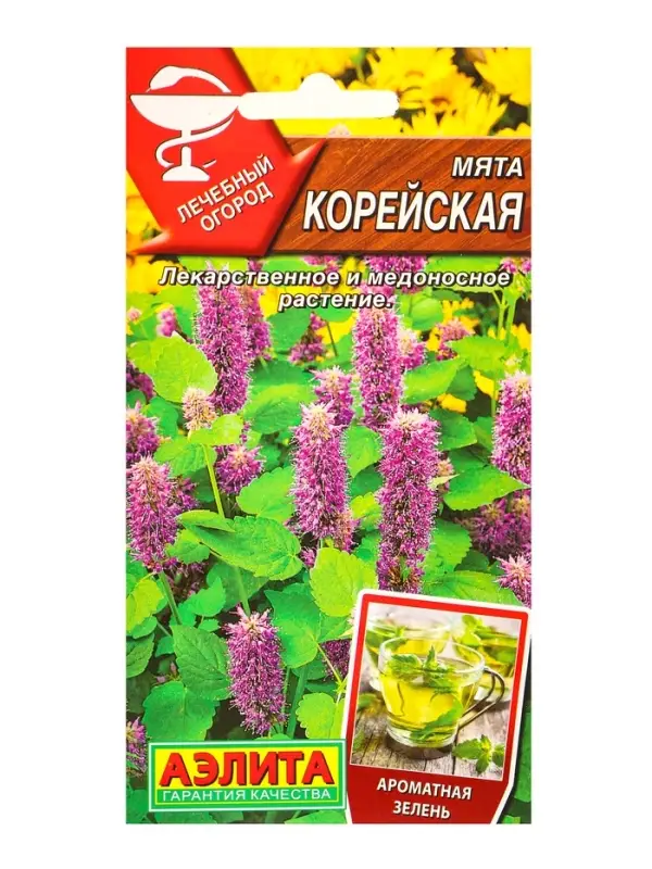 Семена Мята Корейская Лечебный огород, Ц/П,0,05 г Семена Мята Корейская Лечебный огород, Ц/П,0,05 г