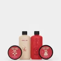 Подарочный набор новогодний в коробке дом: гель для душа 2 шт., соль и масло для душа, URAL LAB Подарочный набор новогодний в коробке дом: гель для душа 2 шт., соль и масло для душа, URAL LAB