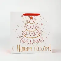 Набор новогодних пакетов «С Новым Годом!» Набор новогодних пакетов «С Новым Годом!»