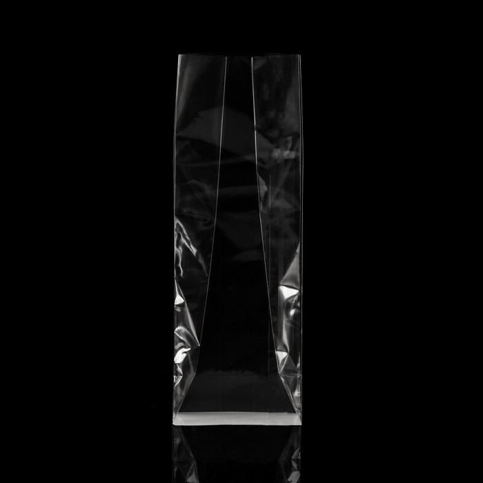 Пакет с жестким дном 11 х 17 х 55 Пакет с жестким дном 11 х 17 х 55 "Прозрачный"