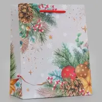 Пакет подарочный &laquo;Новогодние веточки&raquo;, 18&times;10&times;22.3 см