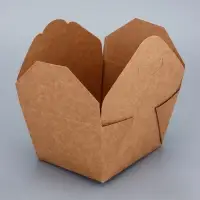 Контейнер одноразовый, коробка пищевая, для лапши, 600 мл, 11&times;9&times;7.3 см