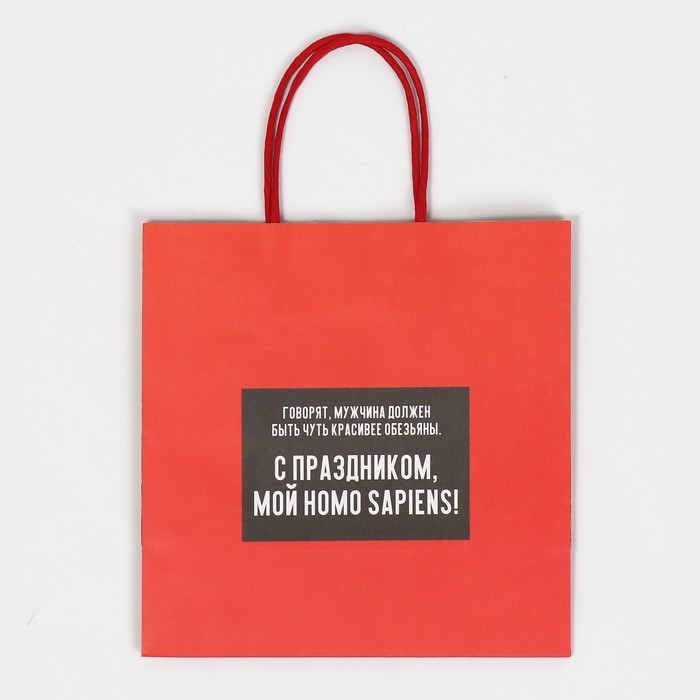 Пакет подарочный, упаковка, «Обезьяна», 22 х 22 х 11 см Пакет подарочный, упаковка, «Обезьяна», 22 х 22 х 11 см