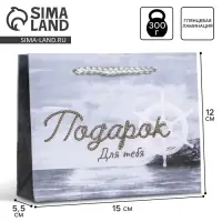 Пакет подарочный ламинированный, упаковка, Present for you, S 15 х 12 х 5.5 cм