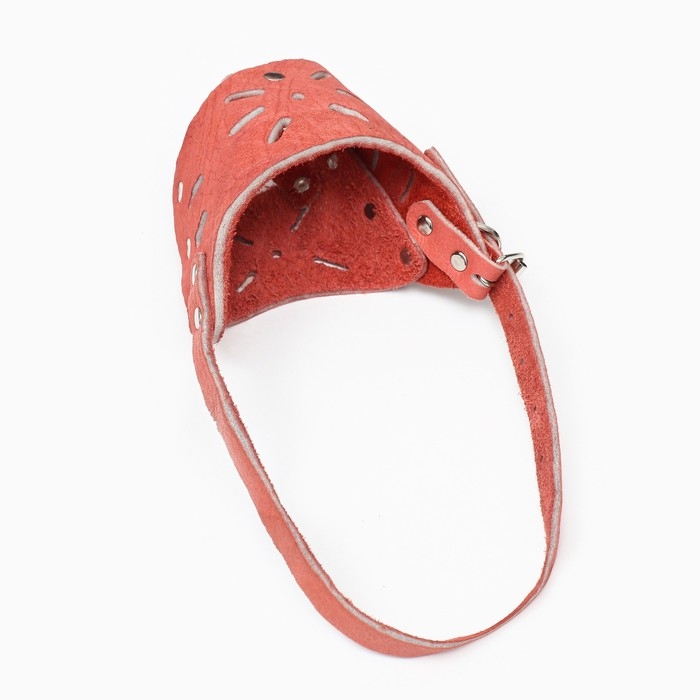 Намордник регулируемый из мягкой кожи, размер № 5, ДН 7-11 см, ОМ 25-28 см, коричневый Намордник регулируемый из мягкой кожи, размер № 5, ДН 7-11 см, ОМ 25-28 см, коричневый