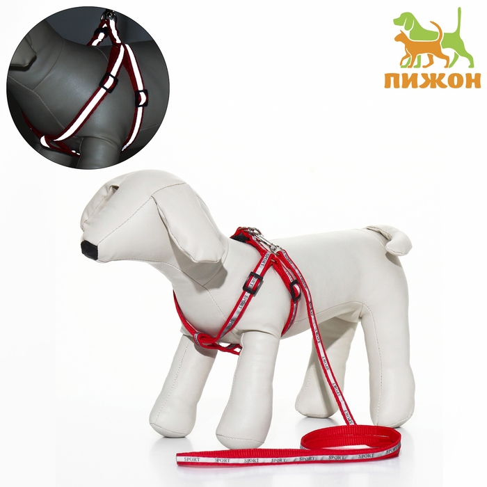 Комплект  Комплект "Спорт" светоотражающий, поводок 120 х 1 см, ОГ 23-35 см, красный