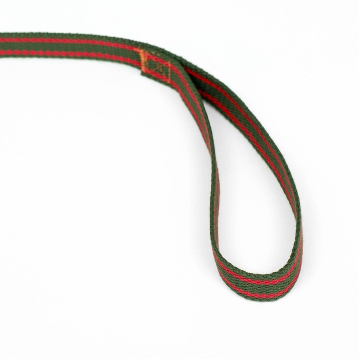 Поводок брезентовый, 1,6 м х 2 см, хаки/оранжевый Поводок брезентовый, 1,6 м х 2 см, хаки/оранжевый