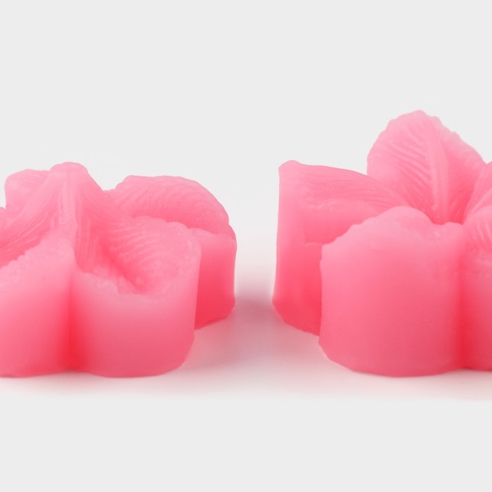 Молд «Цветок», силикон, 2 предмета, 4×2,9 см, цвет МИКС Молд «Цветок», силикон, 2 предмета, 4×2,9 см, цвет МИКС