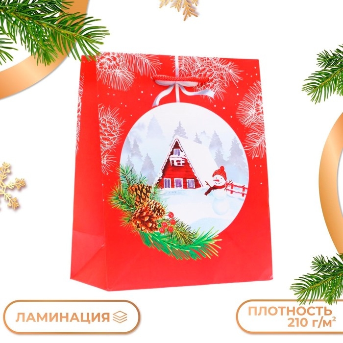 Новый год. Пакет подарочный Новый год. Пакет подарочный "Новгодний шар", 18 х 22,3 х 10 см.