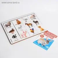 Карточки Домана с пазлами «Домашние животные»