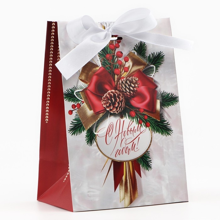 Пакет подарочный новогодний с лентой «Новый год», 13 х 19 х 9 см , Новый год Пакет подарочный новогодний с лентой «Новый год», 13 х 19 х 9 см , Новый год