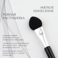 Набор аппликаторов для теней, двусторонние, 5 шт, 11,5 см, цвет чёрный/серебристый