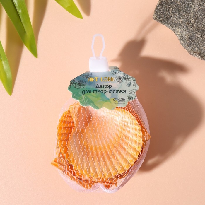 Ракушки природные декоративные "Гребешок рыжая" набор 100 гр