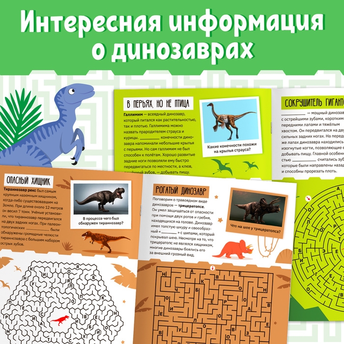 Книга «Лабиринты и факты. Во времена динозавров», 24 стр. Книга «Лабиринты и факты. Во времена динозавров», 24 стр.