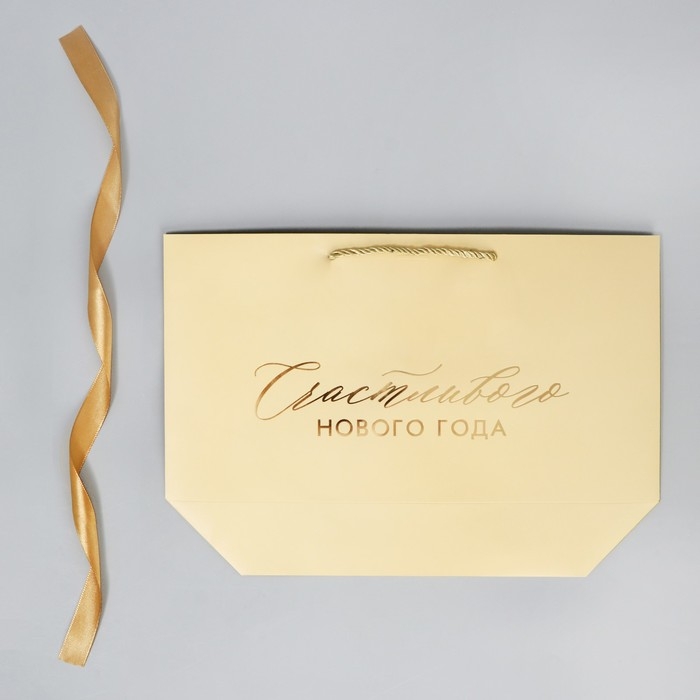 Пакет подарочный новогодний «Lucky present», 26 х 25 х 11 см, Новый год Пакет подарочный новогодний «Lucky present», 26 х 25 х 11 см, Новый год