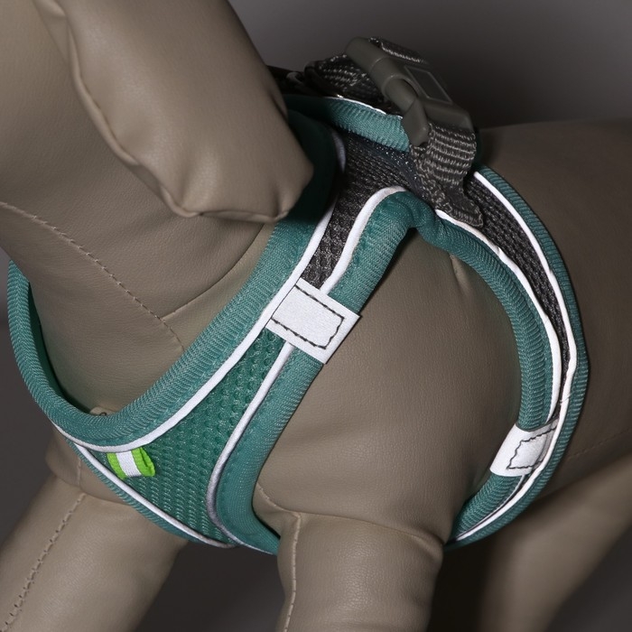 Комплект с мягкой шлейкой, быстросъемный, XS, поводок 150 х1,5 см, ОШ 29-32 ОГ 31-34 см, бирюзовый Комплект с мягкой шлейкой, быстросъемный, XS, поводок 150 х1,5 см, ОШ 29-32 ОГ 31-34 см, бирюзовый