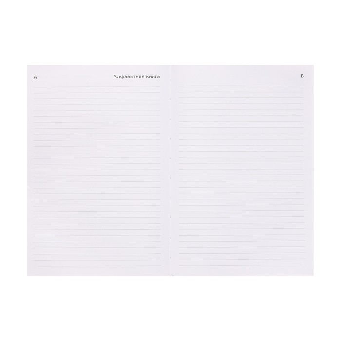 Ежедневник датированный 2024 года, А5, 176 листов, Attomex.Regent, обложка бумвинил, ляссе, блок 70 г/м2, чёрный Ежедневник датированный 2024 года, А5, 176 листов, Attomex.Regent, обложка бумвинил, ляссе, блок 70 г/м2, чёрный