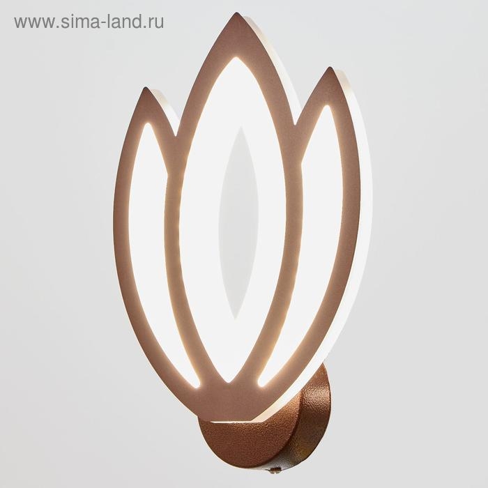 Бра 661327B/1 LED 19Вт 4000К кофе 23х18х7 см