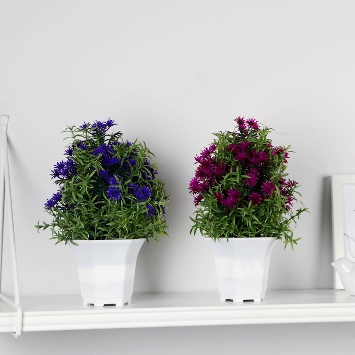 Бонсай в горшке Бонсай в горшке "Монарда" 11х22 см, микс