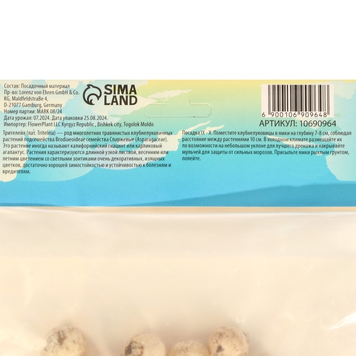 Трителейя Квин Фабиола, р-р 5/6, 10 шт, Осень 2024 Трителейя Квин Фабиола, р-р 5/6, 10 шт, Осень 2024