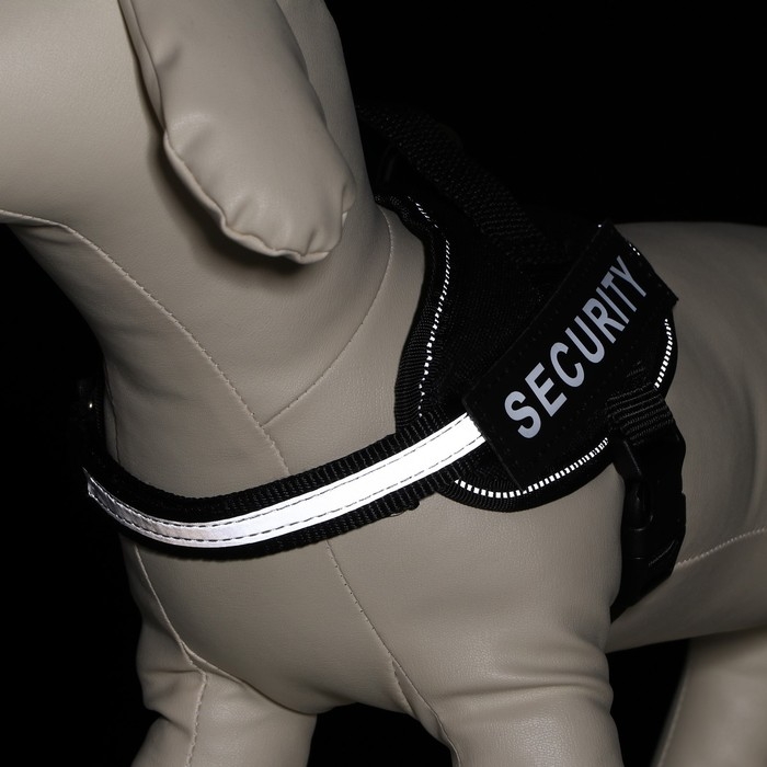 Шлейка К9 мягкая светоотражающая, размер ХS, ОГ 38-50 см, вес 3-6 кг, черная Шлейка К9 мягкая светоотражающая, размер ХS, ОГ 38-50 см, вес 3-6 кг, черная