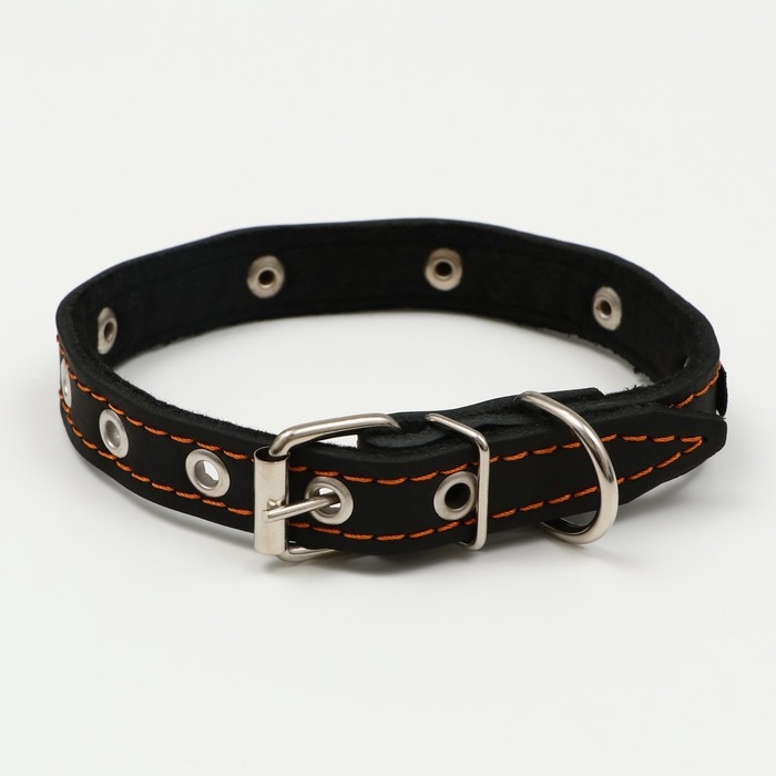Ошейник кожаный светоотражающий на синтепоне бабочка, 45 х 2 см, ОШ 25-35 см, чёрный Ошейник кожаный светоотражающий на синтепоне бабочка, 45 х 2 см, ОШ 25-35 см, чёрный