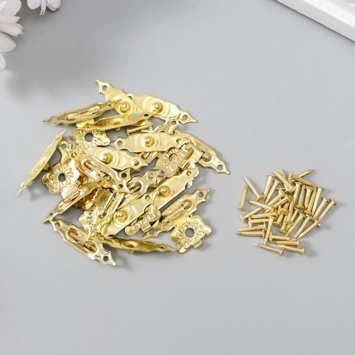 Замок металл для шкатулки золото + гвозд. набор 10 шт 1,9х3 см Замок металл для шкатулки золото + гвозд. набор 10 шт 1,9х3 см