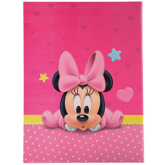 Обложка для документов набор  Обложка для документов набор "Мои первые документы", Минни Маус, 21х30 см