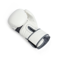 Боксерские перчатки FIGHT EMPIRE, PRIDE, белые, размер 12 oz