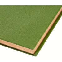 Ежедневник недатированный зеленый, А5, 140x200, 136 л, ATTACHE