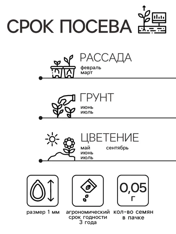 Семена Маргаритка "Помпонная смесь", ц/п,  0,05 гр.