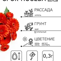 Семена цветов Календула махровая &laquo;Красный ковёр&raquo;, 0.3 г, &laquo;Урожай удачи&raquo;
