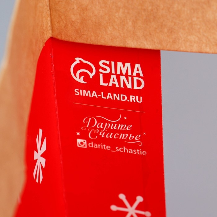 Пакет подарочный новогодний крафтовый с пластиковым окном «Подарок от Деда Мороза», 31 х 26 х 11 см Пакет подарочный новогодний крафтовый с пластиковым окном «Подарок от Деда Мороза», 31 х 26 х 11 см