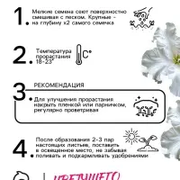 Семена цветов Петуния &laquo;Афродита&raquo;, F1, белая, крупноцветковая, 7 шт., &laquo;Аэлита&raquo;