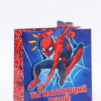 Пакет подарочный &laquo;Супергерой&raquo;, 22 &times; 22 &times; 10 см
