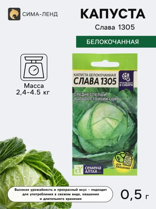 Семена Капуста белокочанная &laquo;Слава 1305&raquo;, 0.5 г, &laquo;Семена Алтая&raquo;