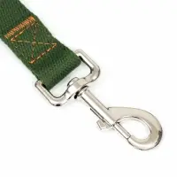 Поводок брезентовый, 3 м &times; 2.5 см, хаки