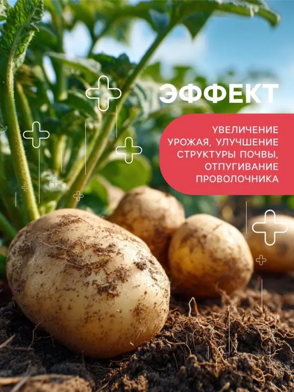 Удобрение органоминеральное &laquo;Буйские удобрения&raquo;, картофельное, 10 кг