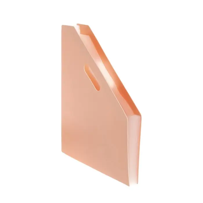 Лоток для бумаг Calligrata, А4, вертикальный, пластиковый, 12 отделений, бежевый