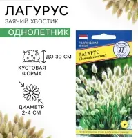 Семена цветов Лагурус &laquo;заячий хвостик&raquo;, однолетник, 10 шт.
