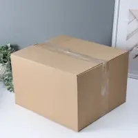 Копилка для денег &laquo;Слон индийский&raquo;, белый с золотом, 35&times;40&times;15 см