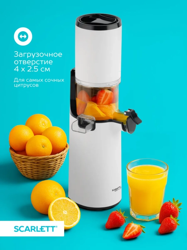Соковыжималка электрическая шнековая SC-JE50S59 Соковыжималка электрическая шнековая SC-JE50S59
