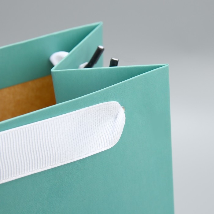 Пакет подарочный под бутылку, упаковка, «Тиффани», 13 x 35 x 10 см Пакет подарочный под бутылку, упаковка, «Тиффани», 13 x 35 x 10 см