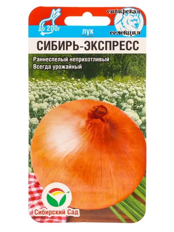 Семена Лук репчатый Сибирь-Экспресс 1г