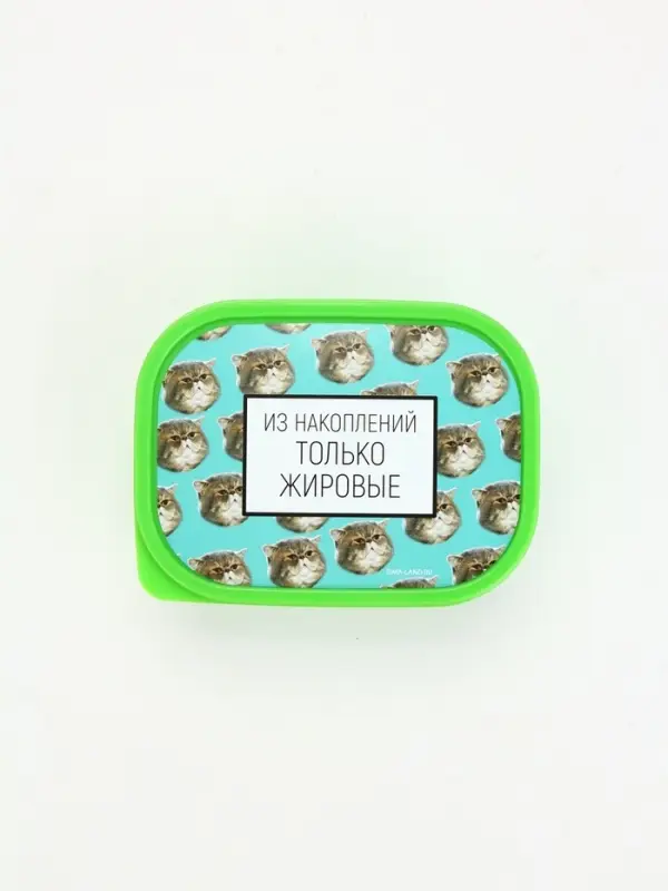 Ланч-бокс «Накопления», 500 мл Ланч-бокс «Накопления», 500 мл