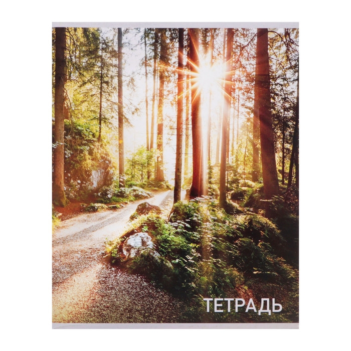 Комплект тетрадей из 4 штук, 96 листов в клетку Calligrata Комплект тетрадей из 4 штук, 96 листов в клетку Calligrata "Природа", обложка мелованный картон, блок №2, белизна 75% (серые листы)